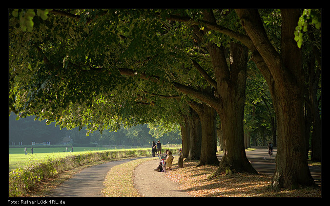 Lichtentaler Allee: Linden an der Klosterwiese