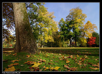 Herbstliches Farbenspiel in der Lichtentaler Allee