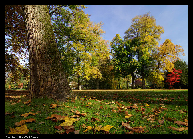 Herbstliches Farbenspiel in der Lichtentaler Allee