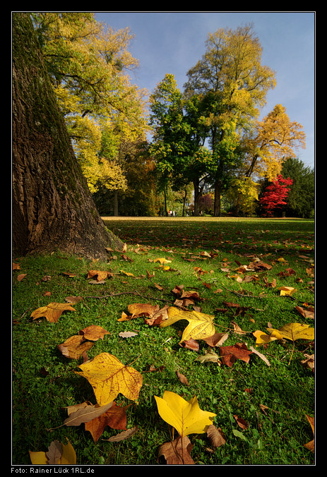 Baden-Baden, Lichtentaler Allee, 11. Oktober 2008