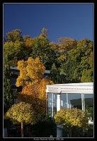 Herbst an der Caracalla-Therme