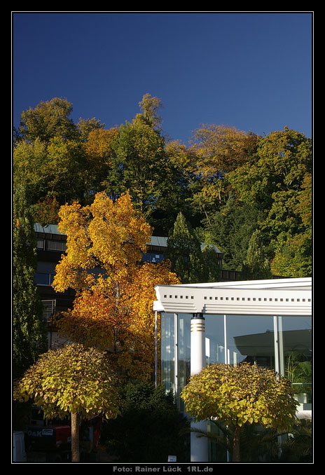 Herbst an der Caracalla-Therme