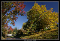 Herbst an der Oos