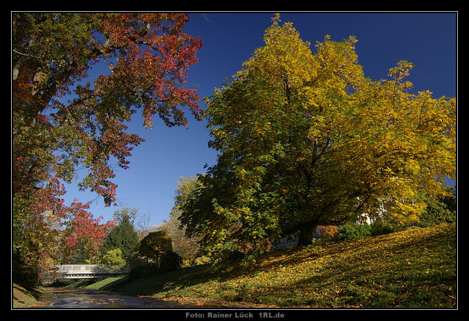 Baden-Baden: Herbst an der Oos