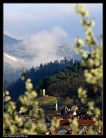 Frühling trifft auf Winter - Obstblüte und Schnee