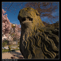 Löwenskulptur im Katz'schen Garten