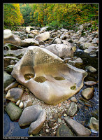 Flussbett der Murg bei Forbach