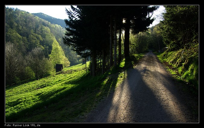 Weg durchs Tal des Alten Mühlbachs