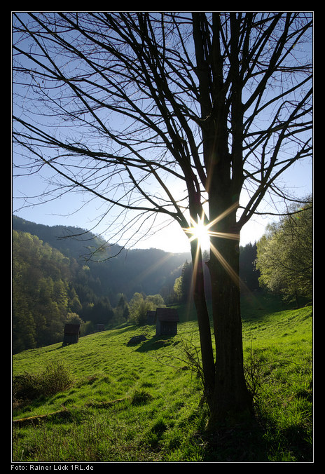 Im Tal des Alten Mühlbachs