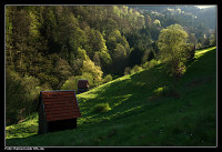 Heuhütten in einem Seitental der Murg (Nordschwarzwald)