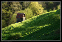 Heuhütte im Tal des Alten Mühlbachs bei Forbach-Langenbrand