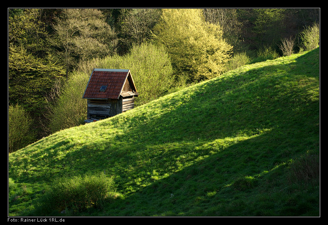 Heuhütte im Tal des Alten Mühlbachs bei Forbach-Langenbrand