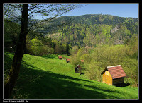 Heuhüttental bei Langenbrand