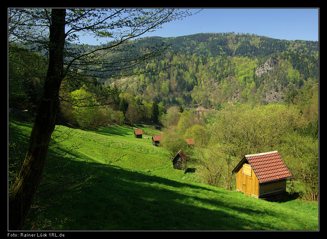 Heuhüttental bei Langenbrand