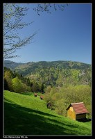 Seitental der Murg bei Forbach-Langenbrand