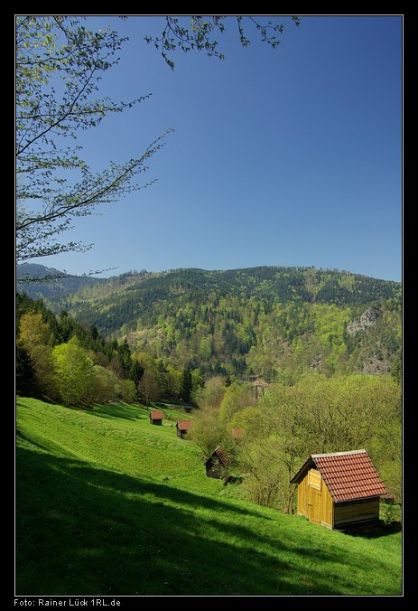 Seitental der Murg bei Forbach-Langenbrand