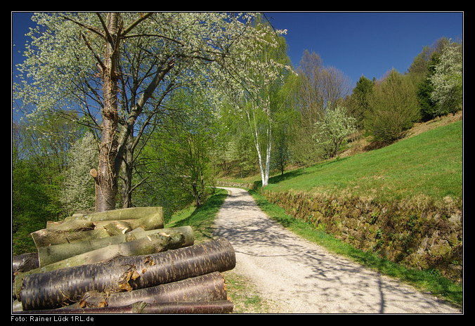 Murgtalwanderweg zwischen Langenbrand und Weisenbach